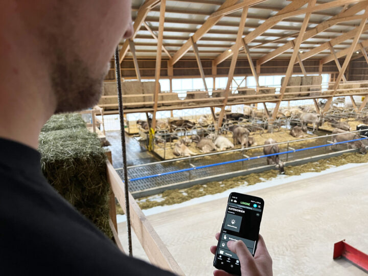 Energieoptimierung in der Landwirtschaft - Person steuert das Loxone-System per Telefon